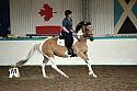 LRCAugNovice3072