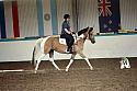 LRCAugNovice3079