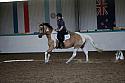 LRCAugNovice3085