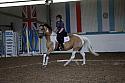 LRCAugNovice3086