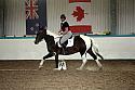 LRCAugNovice3112