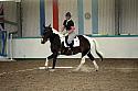 LRCAugNovice3114
