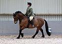 Novice 27