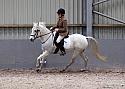 Novice27013