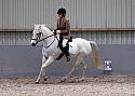 Novice27014