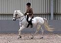 Novice27016