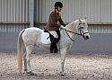 Novice27019