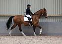 Novice27021
