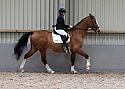 Novice27022