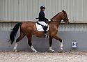 Novice27023