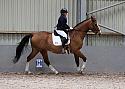 Novice27024