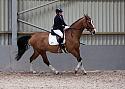Novice27025