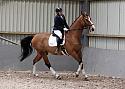 Novice27026