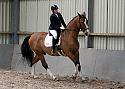 Novice27027