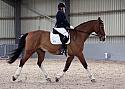 Novice27028