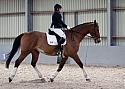 Novice27029