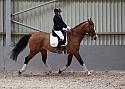 Novice27031