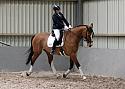 Novice27032