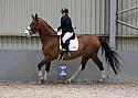 Novice27033