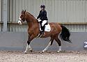 Novice27034