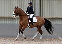 Novice27035