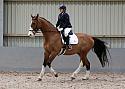 Novice27036