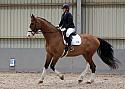 Novice27037