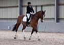Novice27039