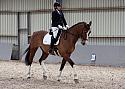 Novice27040