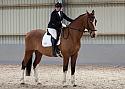 Novice27041