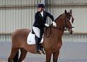 Novice27042