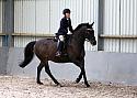 Novice27046