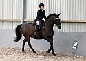 Novice27047
