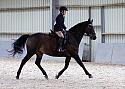 Novice27050