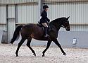 Novice27051