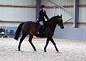 Novice27052