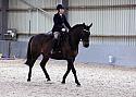 Novice27053