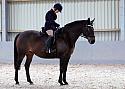 Novice27059