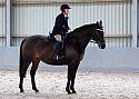 Novice27060