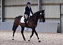 Novice27063