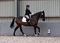 Novice27065