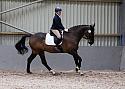 Novice27067