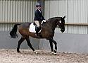 Novice27068