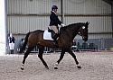 Novice27069