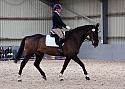 Novice27070