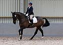 Novice27077