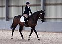 Novice27084