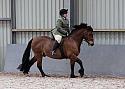 Novice27094