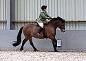 Novice27095