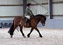 Novice27100